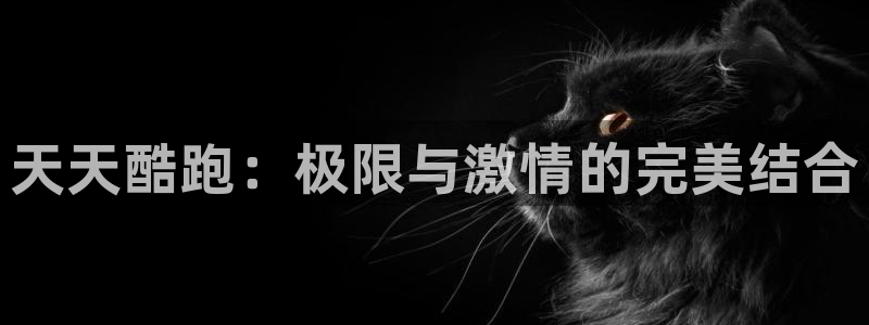 优贝娱乐注册地址：天天酷跑：极限与激情的完美结合
