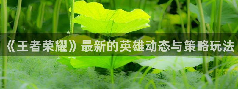优贝娱乐官方平台：《王者荣耀》最新的英雄动态与策略玩法