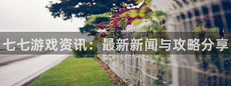 优贝娱乐4招商：七七游戏资讯：最新新闻与攻略分享
