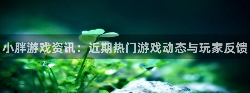 优贝娱乐是什么：小胖游戏资讯：近期热门游戏动态与玩家反馈