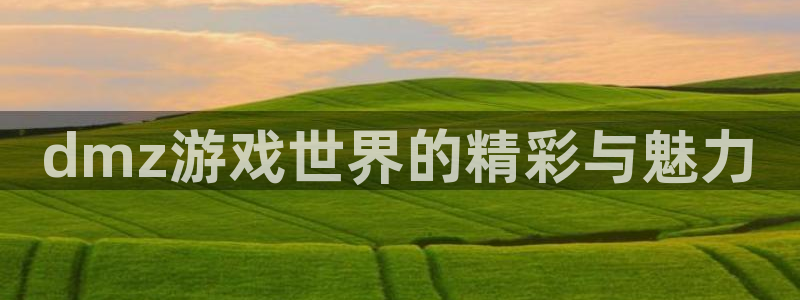 优贝娱乐测速：dmz游戏世界的精彩与魅力