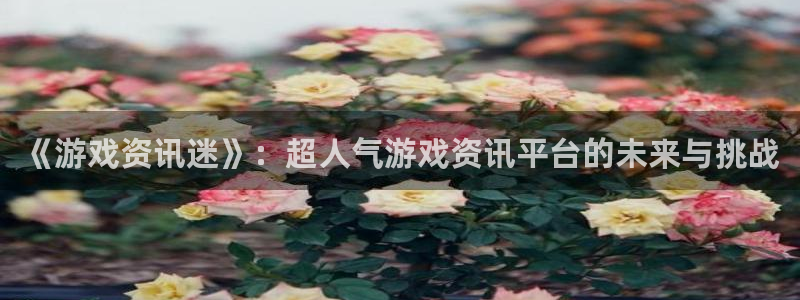 优贝娱乐注册测速：《游戏资讯迷》：超人气游戏资讯平台的未来与