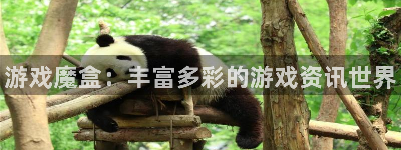 优贝娱乐注册网站：游戏魔盒：丰富多彩的游戏资讯世界