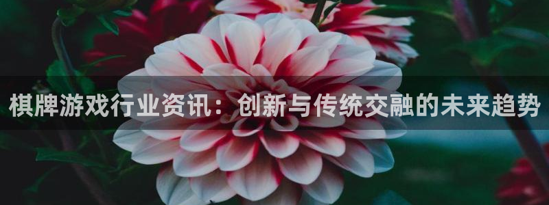 优贝娱乐手机网页版登录：棋牌游戏行业资讯：创新与传统交融的未